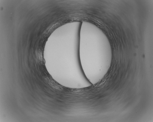 X0000074001155200609111551