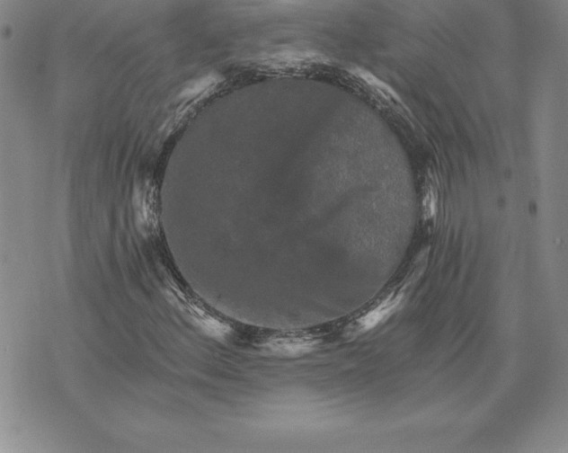 X0000074001156200609111551