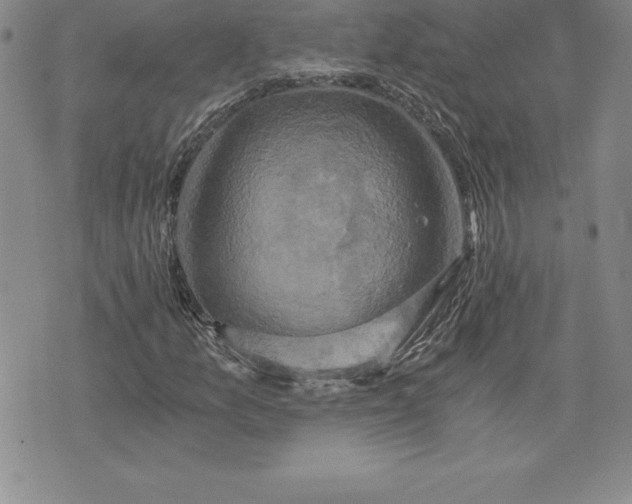 X0000074001157200609111551