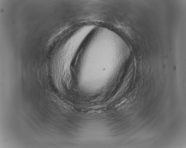 X0000074001159200609111551