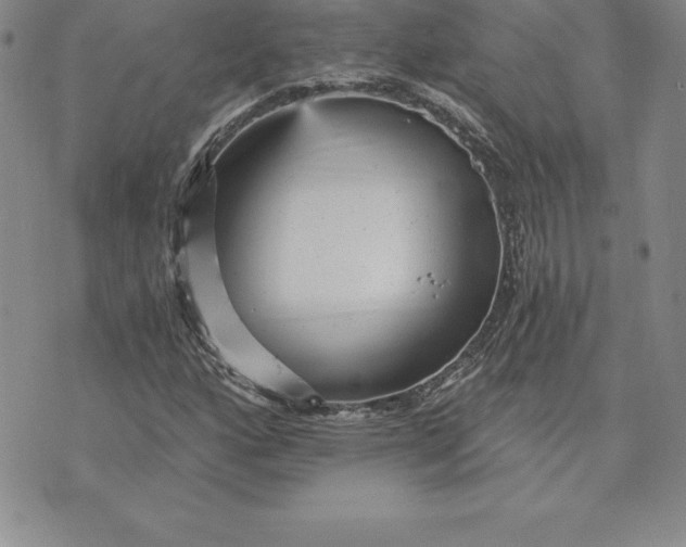 X0000074001160200609111551