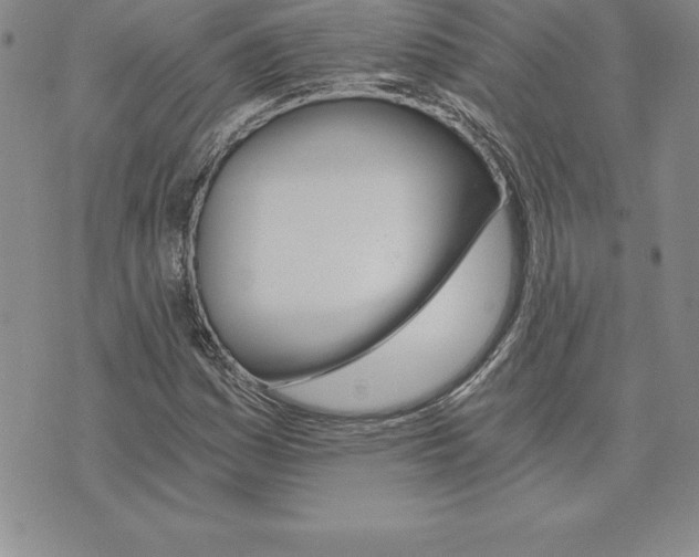 X0000074001161200609111551