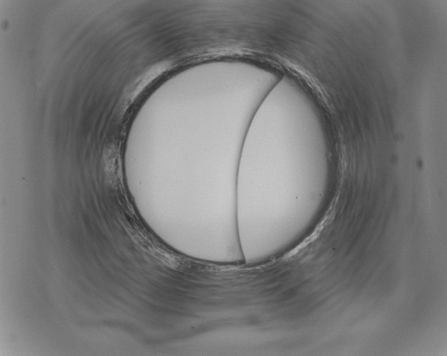 X0000074001162200609111551