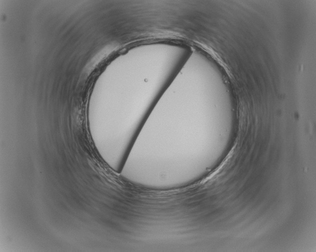 X0000074001163200609111551