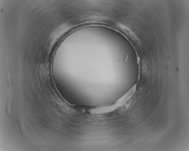 X0000074001164200609111551