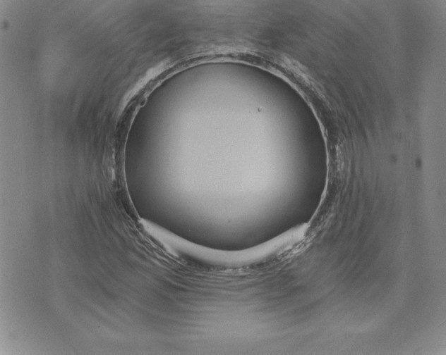 X0000074001165200609111551