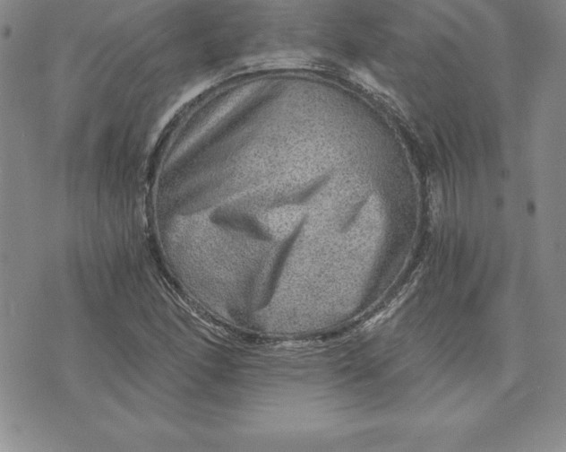 X0000074001166200609111551