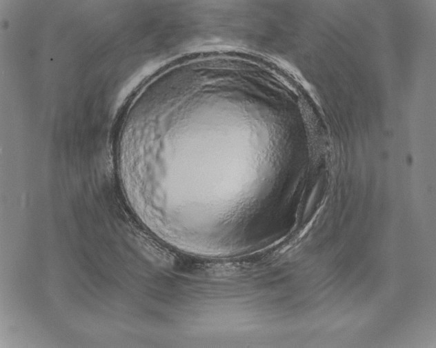 X0000074001167200609111551