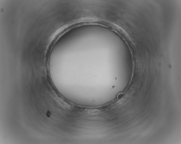 X0000074001168200609111551