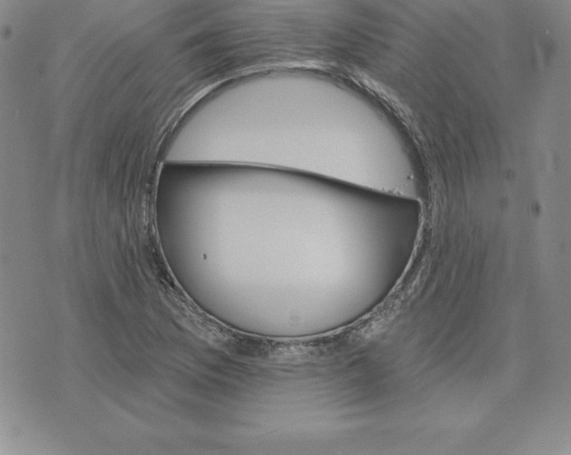 X0000074001169200609111551