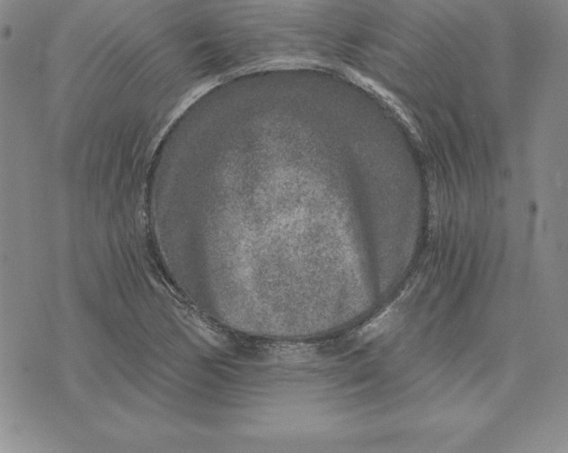 X0000074001170200609111551