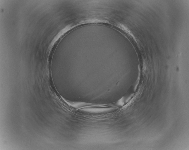 X0000074001173200609111551