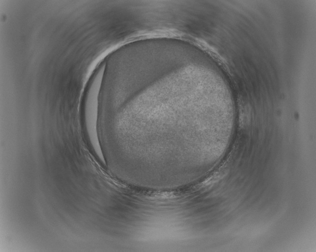 X0000074001174200609111551