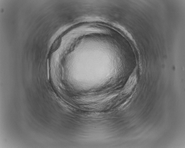 X0000074001175200609111551