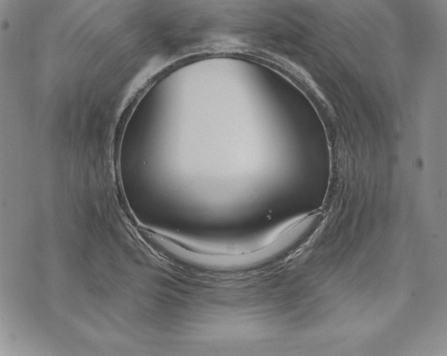 X0000074001176200609111551