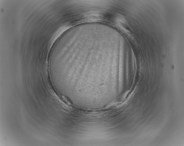 X0000074001178200609111551