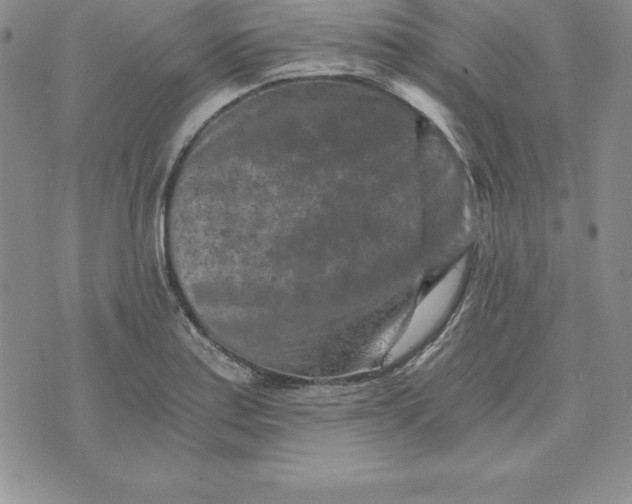 X0000074001179200609111551