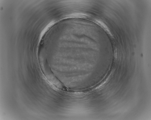 X0000074001180200609111551