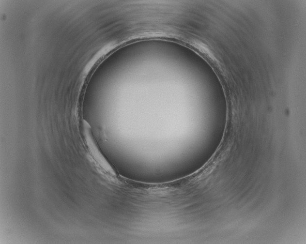 X0000074001181200609111551