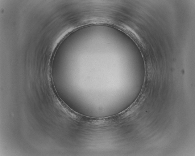 X0000074001182200609111551