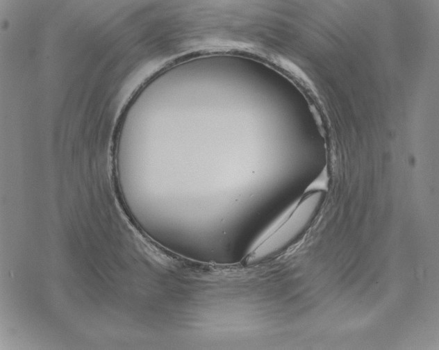 X0000074001183200609111551