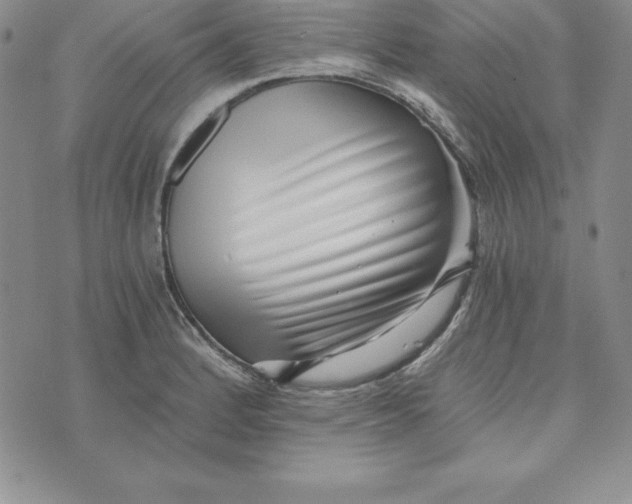 X0000074001184200609111551