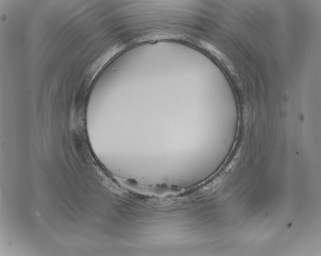 X0000074001185200609111551