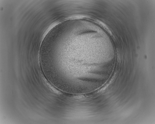 X0000074001186200609111551