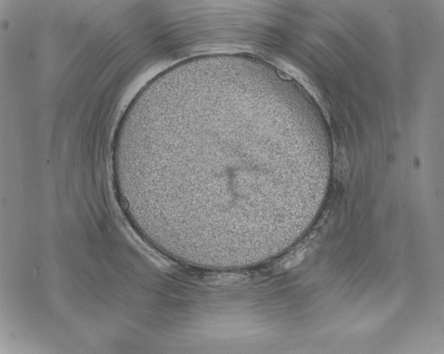 X0000074001187200609111551