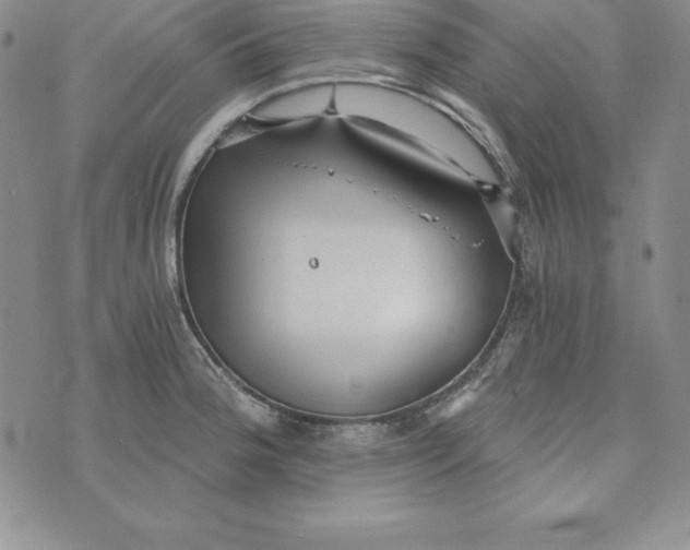 X0000074001188200609111551