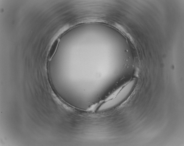 X0000074001189200609111551