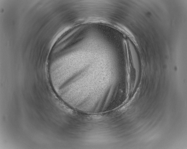 X0000074001190200609111550