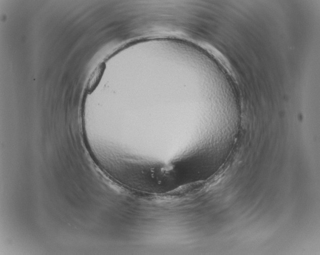 X0000074001191200609111550