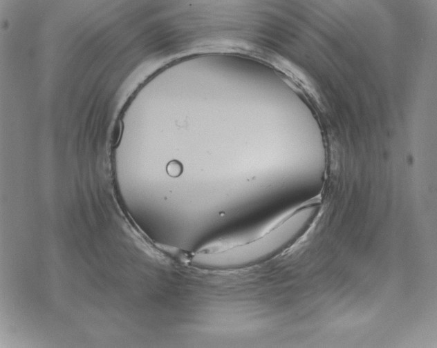 X0000074001192200609111550