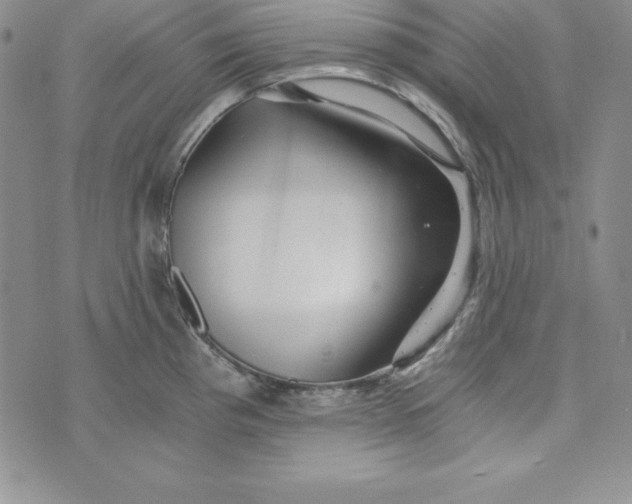 X0000074001193200609111550