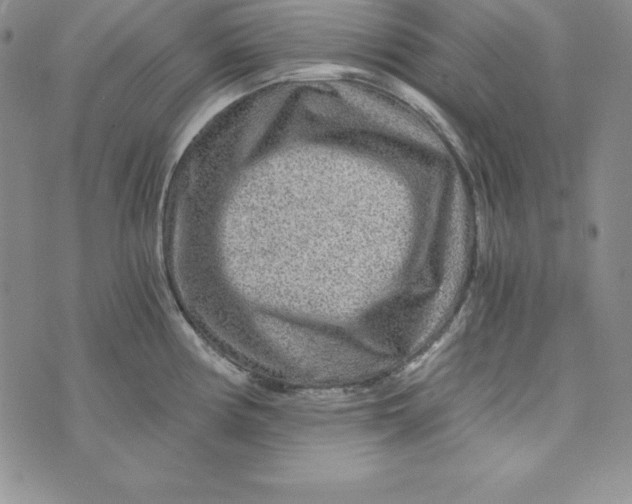 X0000074001194200609111550