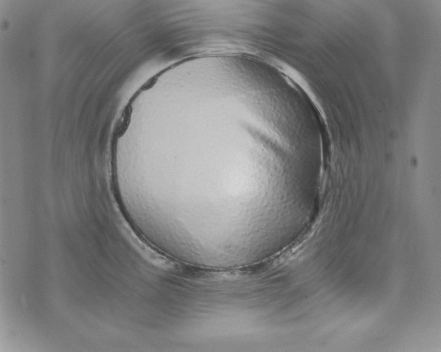 X0000074001195200609111550