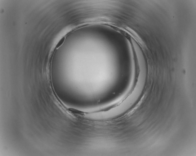 X0000074001196200609111550