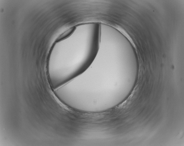 X0000074001197200609111550