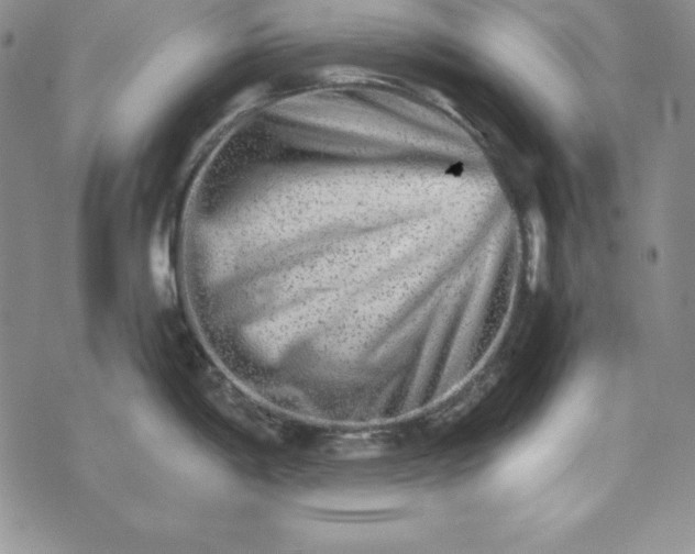 X0000074001198200609111550