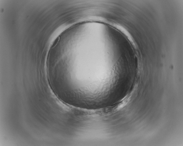 X0000074001199200609111550