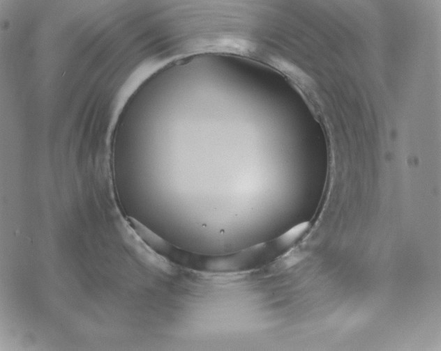 X0000074001200200609111550