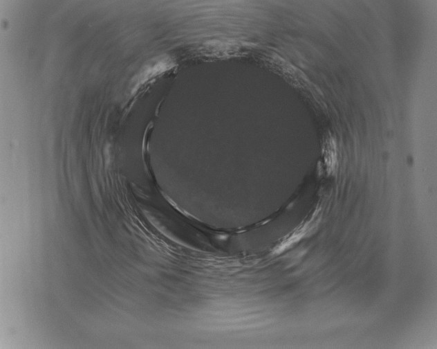 X0000074001202200609111550