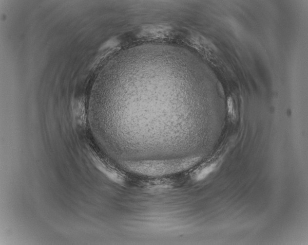 X0000074001203200609111550