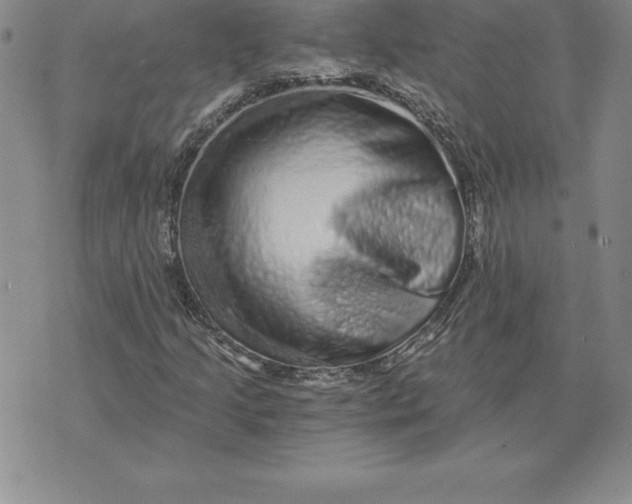 X0000074001205200609111550