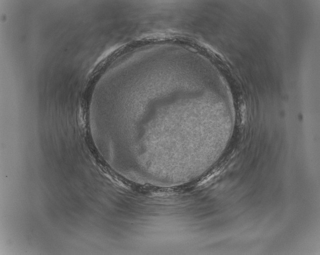 X0000074001206200609111550