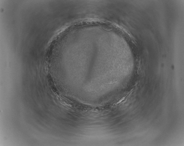 X0000074001207200609111550