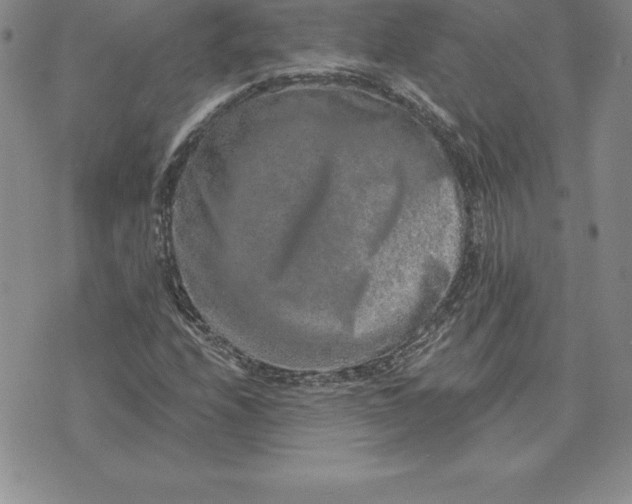 X0000074001208200609111550