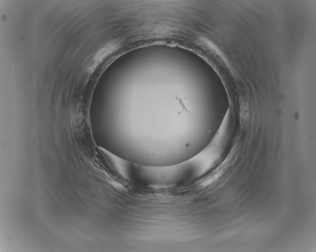 X0000074001210200609111550