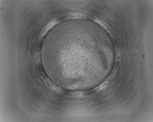 X0000074001211200609111550